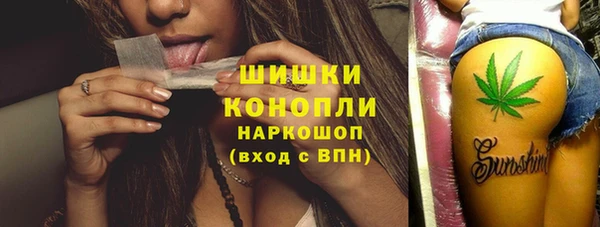 гидра Майский
