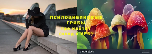 гидра Майский