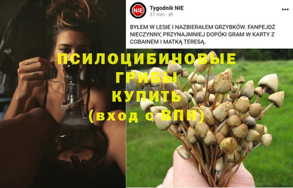 кокаин перу Магас