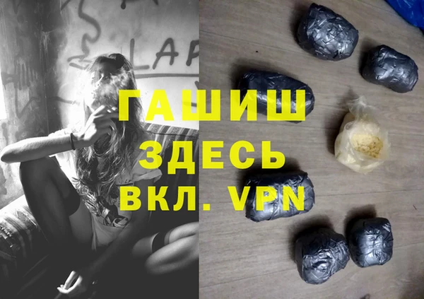 гидра Майский