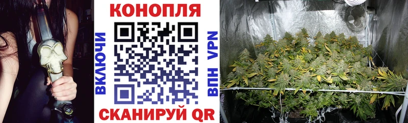 Конопля THC 21%  Нытва 